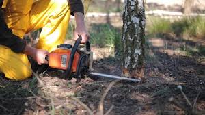 Soil Testing and Treatment in Mead, CO